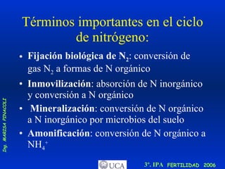 Términos importantes en el ciclo de nitrógeno: Fijación biológica de N 2 : conversión de gas N 2  a formas de N orgánico Inmovilización : absorción de N inorgánico y conversión a N orgánico Mineralización : conversión de N orgánico a N inorgánico por microbios del suelo Amonificación : conversión de N orgánico a NH 4 +   