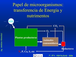 Papel de microorganismos: transferencia de Energía y nutrimentos SOL Plantas productoras Animales consumidores Reductores O 2 CO 2 N , P, Ca, S, etc 