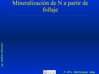Mineralización de N a partir de follaje 