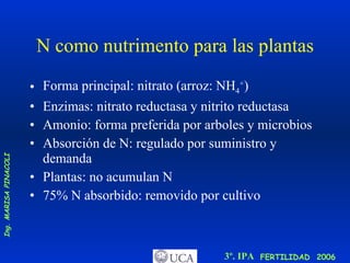 N como nutrimento para las plantas Forma principal: nitrato (arroz: NH 4 + ) Enzimas: nitrato reductasa y nitrito reductasa Amonio: forma preferida por arboles y microbios Absorción de N: regulado por suministro y demanda Plantas: no acumulan N 75% N absorbido: removido por cultivo 