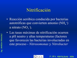 Nitrificación Reacción aeróbica conducida por bacterias autotróficas que convierten amonio (NH 4 + ) a nitrato (NO 3  - ).  Las tasas máximas de nitrificación ocurren a pH neutro y altas temperaturas (factores que favorecen las bacterias involucradas en este proceso -  Nitrosomonas  y  Nitrobacter 