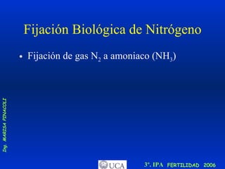 Fijación Biológica de Nitrógeno Fijación de gas N 2  a amoniaco (NH 3 ) 