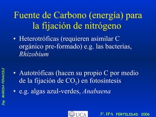 Fuente de Carbono (energía) para la fijación de nitrógeno  Heterotróficas (requieren asimilar C orgánico pre-formado) e.g. las bacterias,  Rhizobium   Autotróficas (hacen su propio C por medio de la fijación de CO 2 ) en fotosíntesis  e.g. algas azul-verdes,  Anabaena 