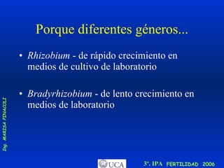Porque diferentes géneros... Rhizobium  - de rápido crecimiento en medios de cultivo de laboratorio Bradyrhizobium  - de lento crecimiento en medios de laboratorio 