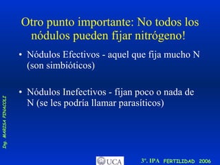 Otro punto importante: No todos los nódulos pueden fijar nitrógeno!  Nódulos Efectivos - aquel que fija mucho N (son simbióticos)  Nódulos Inefectivos - fijan poco o nada de N (se les podría llamar parasíticos)  