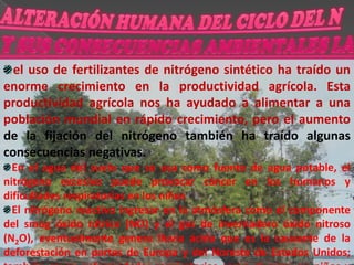 AMONIFICACIÓN La Amonificación es la conversión a ion amonio del nitrógeno que en la materia viva aparece principalmente como grupos amino (-NH2) o imino (-NH-). 