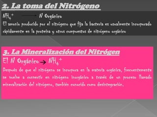 Fijación abiótica.La fijación natural puede ocurrir por procesos químicos espontáneos, como la oxidación que se produce por la acción de los rayos, que forma óxidos de nitrógeno a partir del nitrógeno atmosférico.