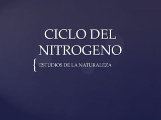CICLO DEL
    NITROGENO
{   ESTUDIOS DE LA NATURALEZA
 