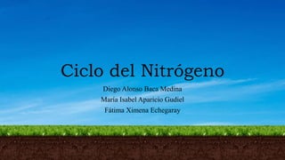 Ciclo del Nitrógeno
Diego Alonso Baca Medina
María Isabel Aparicio Gudiel
Fátima Ximena Echegaray
 