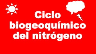 Ciclo
biogeoquímico
del nitrógeno
 