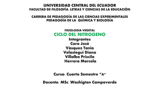 UNIVERSIDAD CENTRAL DEL ECUADOR
FACULTAD DE FILOSOFÍA, LETRAS Y CIENCIAS DE LA EDUCACIÓN
CARRERA DE PEDAGOGÍA DE LAS CIENCIAS EXPERIMENTALES
PEDAGOGÍA DE LA QUÍMICA Y BIOLOGÍA
FISIOLOGIA VEGETAL
CICLO DEL NITROGENO
Integrantes
Coro José
Vásquez Tania
Velastegui Diana
Villalba Priscila
Herrera Marcela
Curso: Cuarto Semestre “A”
Docente: MSc. Washigton Campoverde
 
