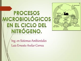 Ing. en Sistemas Ambientales
Luis Ernesto Avelar Correa
 