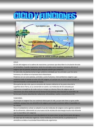 CICLO:
El ciclo del oxigeno es la cadena de reacciones y procesos que describen la circulación de este
en la biosfera. Cuando respiramos, tanto los animales como nosotros, tomamos del aire el
oxígeno que las plantas producen para después exhalar gas carbónico.
En este ciclo, las plantas toman el gas carbónico exhalado por los animales y por los seres
humanos y lo utilizan en el proceso de la fotosíntesis.
Podemos ver así como plantas, animales y seres humanos, intercambiamos oxigeno y gas
carbónico todo el tiempo en este ciclo del oxigeno, el cual por ser un ciclo todo el tiempo se
está terminando y comenzando de nuevo.
Otra parte de este ciclo, que se concentra de manera indirecta en los seres vivos de la
superficie de la Tierra, es su conversión en ozono. Las moléculas de O2 activadas por
radiaciones energéticas de onda corta se rompen en átomos libres de oxígeno que al
reaccionar con otras moléculas de O2 forman El O3 (ozono); esta reacción es reversible, de
forma que el ozono absorbiendo radiaciones ultravioletas, vuelve a convertirse en O2.
FUNCIONES:
Al principio el oxigeno fue una sustancia tóxica para la vida, ya que este tiene un gran poder
oxidante, aunque hoy una atmósfera de oxígeno puro puede ocasionar daños irreparables en
las células.
Pero el metabolismo celular se adoptó al uso de moléculas de oxígeno como agentes oxidante
de los alimentos, obteniendo asi una nueva vía de recolección de energía mucho más eficiente
que la anaeróbica (sin oxígeno).
Este elemento químico es el más abundante en los seres vivos, ya que forma parte del agua y
de todo tipo de moléculas orgánicas. Como molécula, en forma de O2, su presencia en la
atmósfera se debe a la actividad fotosintética de organismos.
 