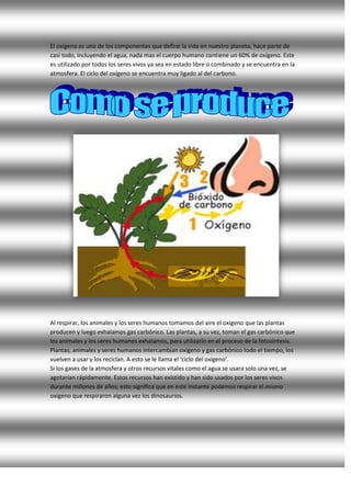 El oxígeno es uno de los componentes que define la vida en nuestro planeta, hace parte de
casi todo, incluyendo el agua, nada mas el cuerpo humano contiene un 60% de oxígeno. Este
es utilizado por todos los seres vivos ya sea en estado libre o combinado y se encuentra en la
atmosfera. El ciclo del oxígeno se encuentra muy ligado al del carbono.
Al respirar, los animales y los seres humanos tomamos del aire el oxigeno que las plantas
producen y luego exhalamos gas carbónico. Las plantas, a su vez, toman el gas carbónico que
los animales y los seres humanos exhalamos, para utilizarlo en el proceso de la fotosíntesis.
Plantas, animales y seres humanos intercambian oxigeno y gas carbónico todo el tiempo, los
vuelven a usar y los reciclan. A esto se le llama el ‘ciclo del oxigeno’.
Si los gases de la atmosfera y otros recursos vitales como el agua se usara solo una vez, se
agotarían rápidamente. Estos recursos han existido y han sido usados por los seres vivos
durante millones de años; esto significa que en este instante podemos respirar el mismo
oxigeno que respiraron alguna vez los dinosaurios.
 