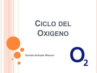 Ciclo del Oxigeno Daniela Andrade Wiesner 