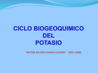 CICLO BIOGEOQUIMICO
DEL
POTASIO
NESTOR WILSON HUANCA CACERES 2001-21000
 