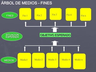 ÁRBOL DE MEDIOS - FINES


  FINES        Fin 1     Fin 2      Fin 3       Fin 4        Fin n




  SITUACION                 OBJETIVO ESPERADO
  ESPERADA




 MEDIOS       Medio1   Medio 2   Medio 3    Medio 4     Medio n
 