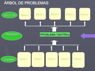 ÁRBOL DE PROBLEMAS


EFECTOS    Efecto 1    Efecto 2     Efecto 3       Efecto 4    Efecto n




PROBLEMA                   PROBLEMA CENTRAL




CAUSAS     Causa 1    Causa 2     Causa 3      Causa 4    Causa n
 