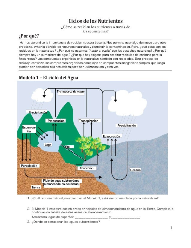 Ciclo de nutrientes. Guía basada en el Método POGIL para el Aprendiza… Ciclo de nutrientes. Guía basada en el Método POGIL para el Aprendiza…