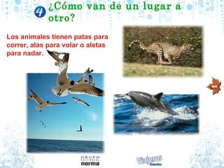 Los animales tienen patas para correr, alas para volar o aletas para nadar. ¿C ómo van de un lugar a otro? 