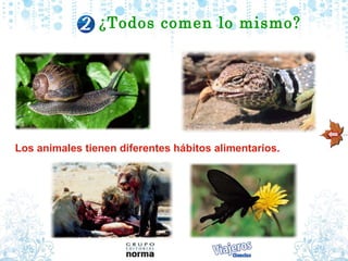 Los animales tienen diferentes hábitos alimentarios. ¿Todos comen lo mismo ? 
