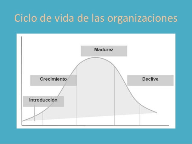 Ciclo de vida