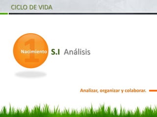 S.I Análisis
Analizar, organizar y colaborar.
Nacimiento
CICLO DE VIDA
 