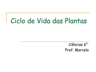 Ciclo de Vida das Plantas


                   Ciências 6°
                 Prof. Marcela
 