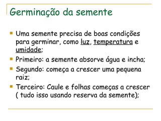 Germinação da semente

   Uma semente precisa de boas condições
    para germinar, como luz, temperatura e
    umidade;
   Primeiro: a semente absorve água e incha;
   Segundo: começa a crescer uma pequena
    raiz;
   Terceiro: Caule e folhas começas a crescer
    ( tudo isso usando reserva da semente);
 