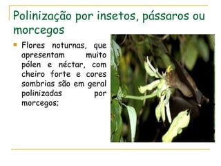 Polinização por insetos, pássaros ou
morcegos
   Flores noturnas, que
    apresentam      muito
    pólen e néctar, com
    cheiro forte e cores
    sombrias são em geral
    polinizadas      por
    morcegos;
 