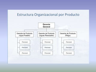 Ciclo de vidad de proyecto producto