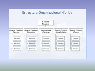 Ciclo de vidad de proyecto producto