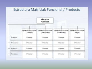 Ciclo de vidad de proyecto producto