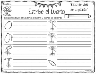 "Ciclo de vida
de la planta"
Escribe el Cuarto
Busque los dibujos alrededor de el cuarto y escriba las palabras.
©Learning Palace
jjjjjjjjjjjjj
jjjjjjjjjjjjj
jjjjjjjjjjjjj
jjjjjjjjjjjjj
jjjjjjjjjjjjj
jjjjjjjjjjjjj
jjjjjjjjjjjjj
jjjjjjjjjjjjj
Nombre:______________________
 