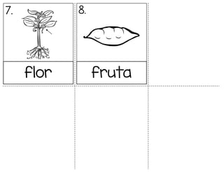 flor fruta
7. 8.
 