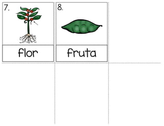 7. 8.
flor fruta
 