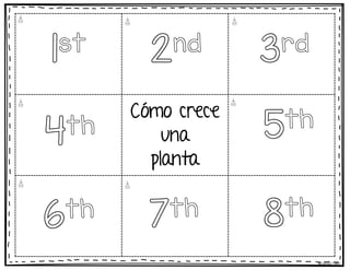 Cómo crece
una
planta
©Learning Palace
1st 2nd 3rd
4th 5th
6th 7th 8th
 