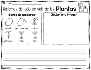 Nombre:____________________________
Plantas
Hablemos del ciclo de vida de las
©Learning Palace
Iiiiiiiiiiiiiiiiiiiiiiiiiiiiiiiiiiiiiiiiiiiiiiiiiiiiiiiiiiiiiiiiiiiiiiiii
iiiiiiiiiiiiiiiiiiiiiiiiiiiiiiiiiiiiiiiiiiiiiiiiiiiiiiiiiiiiiiiiiiiiiiiii
iiiiiiiiiiiiiiiiiiiiiiiiiiiiiiiiiiiiiiiiiiiiiiiiiiiiiiiiiiiiiiiiiiiiiiiii
Banco de palabras: Dibujar una imagen
semilla germinación raíces
plántula hojas flor
 