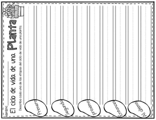 El
ciclo
de
vida
de
una
Nombre:_________________________
Planta
Describa
cada
una
de
las
etapas
del
ciclo
de
vida
de
una
planta.
Uuuuuuuouuuuuuu
©
Learni
n
g
Palace
Uuuuuuuouuuuuuu
Uuuuuuuouuuuuuu
Uuuuuuuouuuuuuu
Uuuuuuuouuuuuuu
Uuuuuuuouuuuuuu
Uuuuuuuouuuuuuu
Uuuuuuuouuuuuuu
Uuuuuuuouuuuuuu
Uuuuuuuouuuuuuu
 