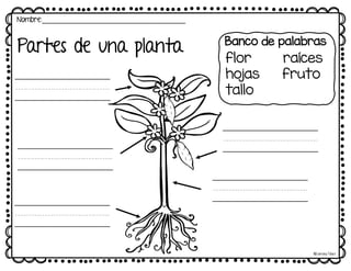 ooooooo
ooooooo
ooooooo
ooooooo
ooooooo
Banco de palabras
flor raíces
hojas fruto
tallo
Partes de una planta
Nombre:____________________________________
©Learning Palace
 