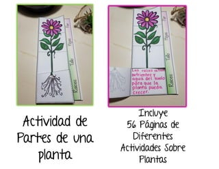 Actividad de
Partes de una
planta
Incluye
56 Páginas de
Diferentes
Actividades Sobre
Plantas
 