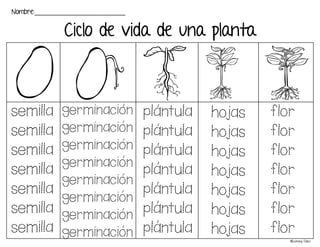 Ciclo de vida de una planta
Nombre:_________________________
semilla
semilla
semilla
semilla
semilla
semilla
semilla
germinacion
germinacion
germinacion
germinacion
germinacion
germinacion
germinacion
germinacion
plantula
plantula
plantula
plantula
plantula
plantula
plantula
hojas
hojas
hojas
hojas
hojas
hojas
hojas
flor
flor
flor
flor
flor
flor
flor
©Learning Palace
 
