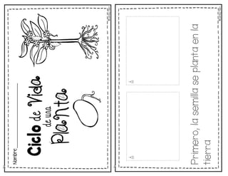 ©
Learni
n
g
Palace
Primero,
la
semilla
se
planta
en
la
tierra
©
Learni
n
g
Palace
Nombre:_________________________
 