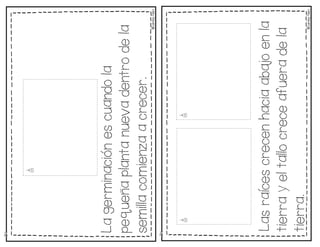 ©
Learni
n
g
Palace
Las
raices
crecen
hacia
abajo
en
la
tierra
y
el
tallo
crece
afuera
de
la
tierra.©
Learni
n
g
Palace
La
germinacion
es
cuando
la
pequena
planta
nueva
dentro
de
la
semilla
comienza
a
crecer.
~
 