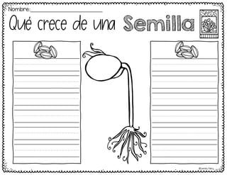 ©Learning Palace
Iiiiiiiiiiiiiiiiiiiiiii
iiiiiiiiiiiiiiiiiiiiiii
iiiiiiiiiiiiiiiiiiiiiii
iiiiiiiiiiiiiiiiiiiiiii
iiiiiiiiiiiiiiiiiiiiiii
iiiiiiiiiiiiiiiiiiiiiii
Iiiiiiiiiiiiiiiiiiiiiii
iiiiiiiiiiiiiiiiiiiiiii
iiiiiiiiiiiiiiiiiiiiiii
iiiiiiiiiiiiiiiiiiiiiii
iiiiiiiiiiiiiiiiiiiiiii
iiiiiiiiiiiiiiiiiiiiiii
Nombre:____________________________
Semilla
Que crece de una
 