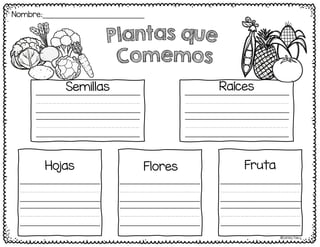 ©Learning Palace
Nombre:____________________________
Iiiiiiiiiiiiiiiiiiiiiiiiii
iiiiiiiiiiiiiiiiiiiiiiiiii
Iiiiiiiiiiiiiiiiiiiiiiiiii
iiiiiiiiiiiiiiiiiiiiiiiiii
Iiiiiiiiiiiiiiiiiiii
iiiiiiiiiiiiiiiiiiii
Iiiiiiiiiiiiiiiiiiii
iiiiiiiiiiiiiiiiiiii
Iiiiiiiiiiiiiiiiiiii
iiiiiiiiiiiiiiiiiiii
Semillas Raíces
Hojas Flores Fruta
 