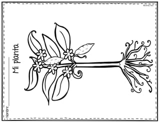 Mi
planta
Nombre:___________________________
©Learning Palace
 