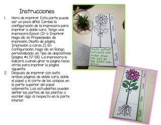 Instrucciones
1. Hora de imprimir. Esta parte puede
ser un poco difícil. Cambie la
configuración de la impresora para
imprimir a doble cara. Tengo una
impresora Epson: (Ir a Imprimir.
Haga clic en Propiedades de
impresión, Diseño de página,
Impresión a caras 2). En
Configuración, haga clic en Rango
personalizado, en Tipo de diapositivas
(página #s 57-58). La impresora le
indicará cuándo girar la página hacia
atrás para imprimir la página
siguiente.
2. Después de imprimir con éxito
ambas páginas de doble cara, doble
el papel y el corte de las solapas en
la parte superior del papel
solamente. Los estudiantes pueden
definir las partes de las plantas o
escribir algo al respecto en la parte
interior.
 