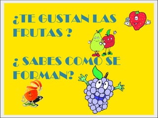 ¿TE GUSTAN LAS
FRUTAS ?

¿ SABES COMO SE
FORMAN?
 