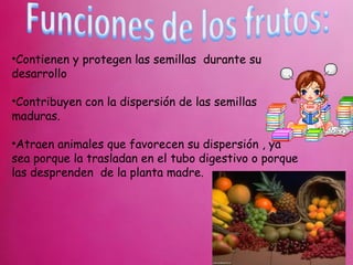 •Contienen y protegen las semillas durante su
desarrollo

•Contribuyen con la dispersión de las semillas
maduras.

•Atraen animales que favorecen su dispersión , ya
sea porque la trasladan en el tubo digestivo o porque
las desprenden de la planta madre.
 